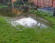 Water Leak Detection Elsternwick VIC 3185 – Soggy Garden Caused by Underground Water Main Leak