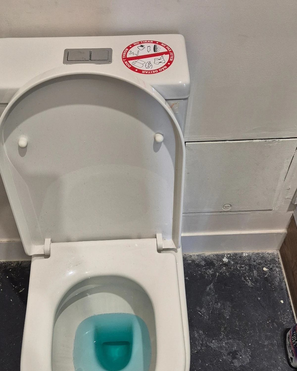 Slow draining blocked toilet with blue water in the bowl at a Melbourne property.