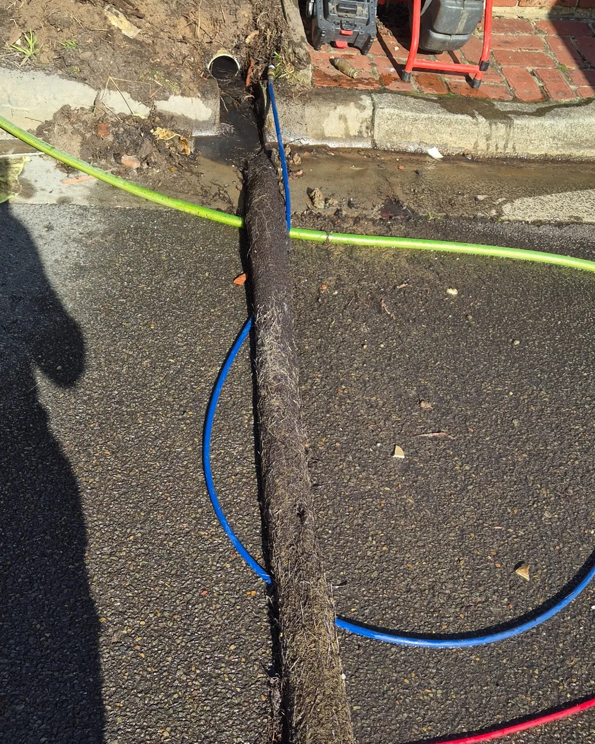 Large tree root obstruction removed during excavation and investigation of a blocked underground drain.
