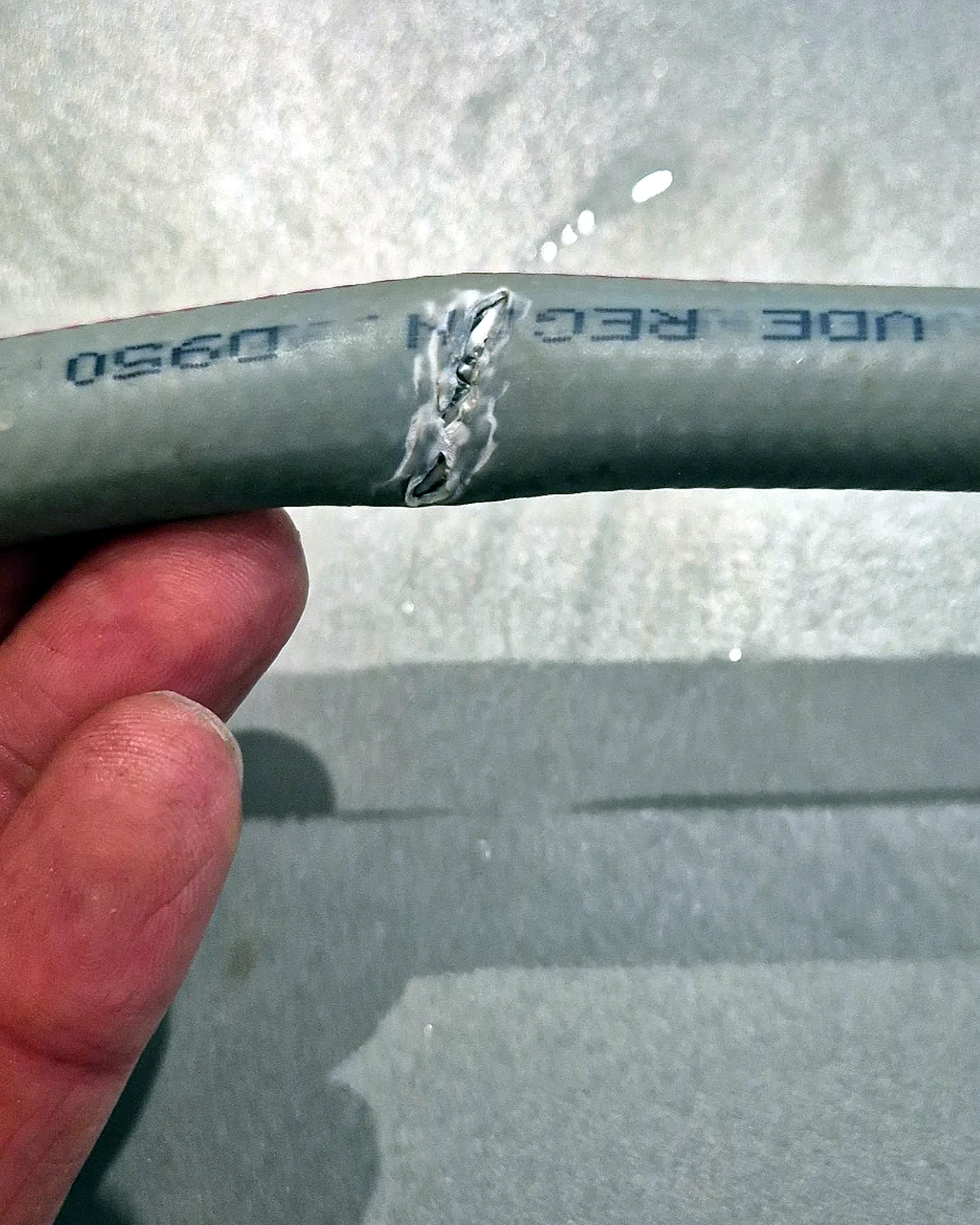 Burst washing machine hose showing a split and damaged section.